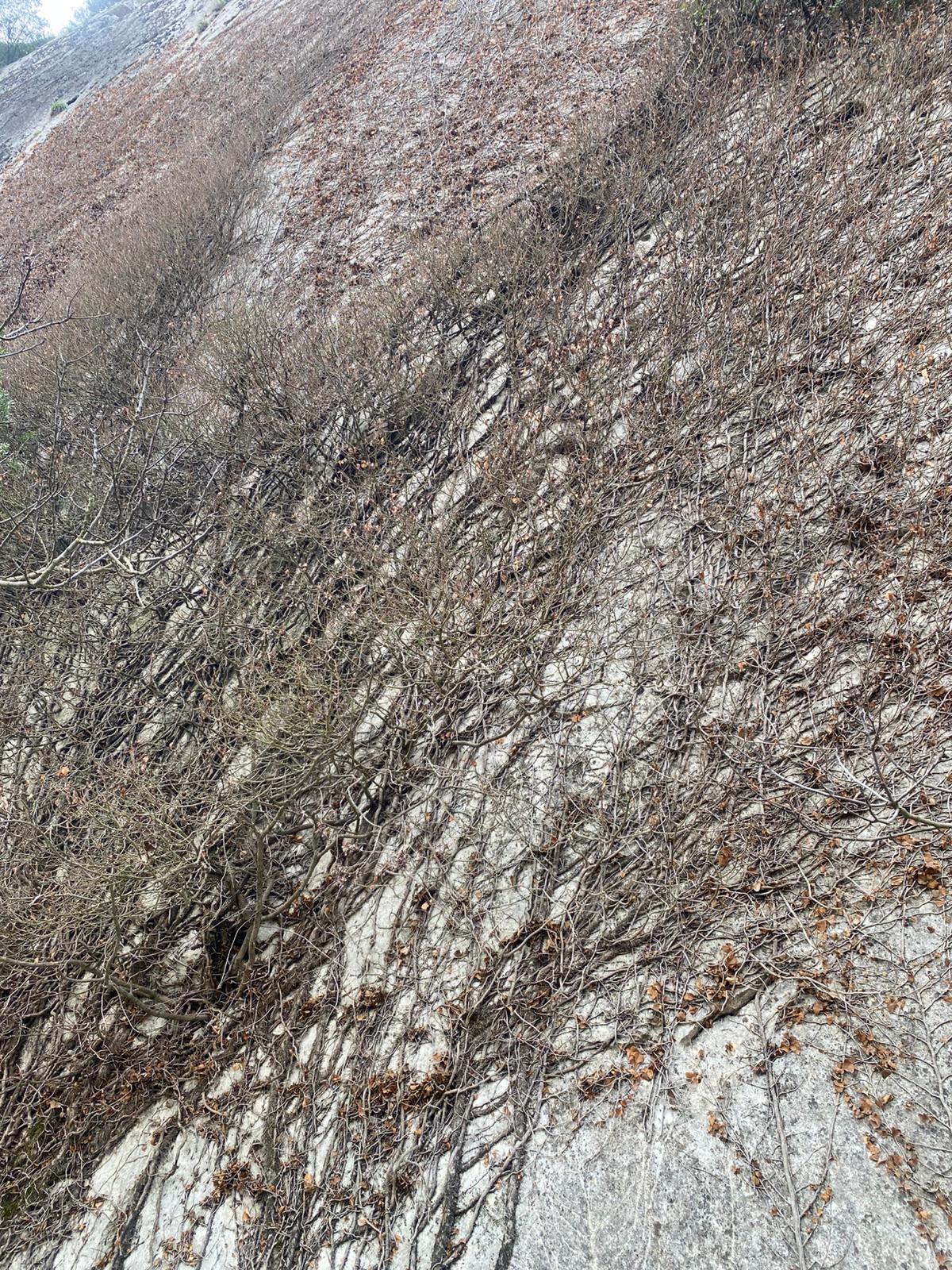 MABEL'DEN FIRSAT YATIRIMLIK DEV ARAZİ